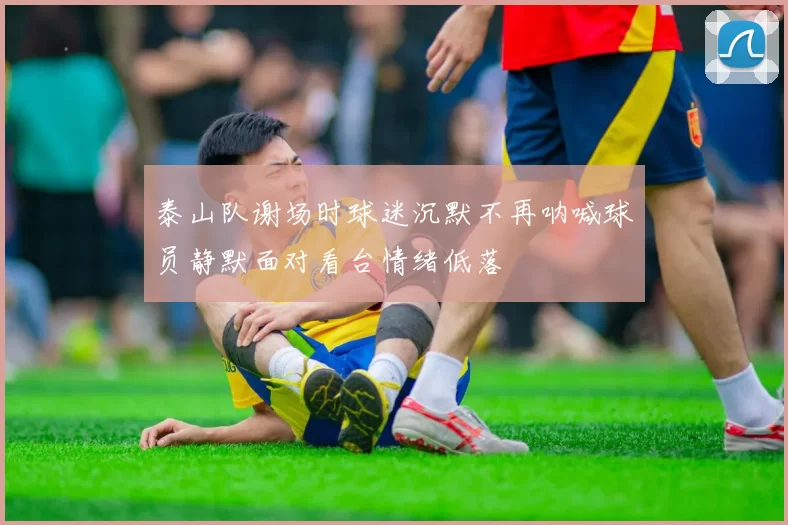 泰山队谢场时球迷沉默不再呐喊球员静默面对看台情绪低落
