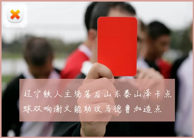 辽宁铁人主场落后山东泰山泽卡点球双响谢文能助攻马德鲁加造点